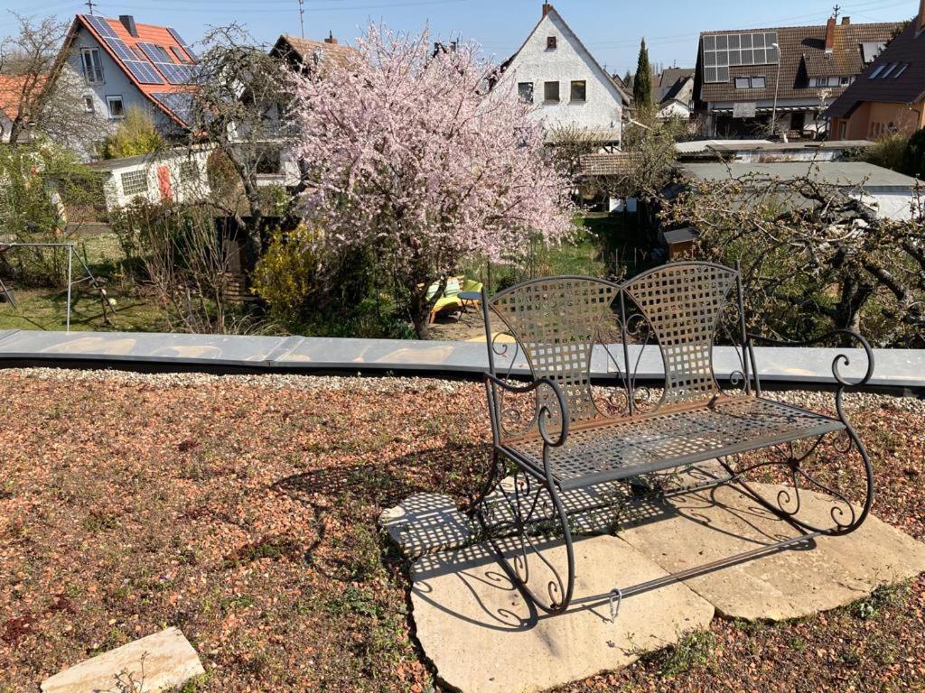 Terrassenwohnung Neustadt an der Weinstraße Zewnętrze zdjęcie