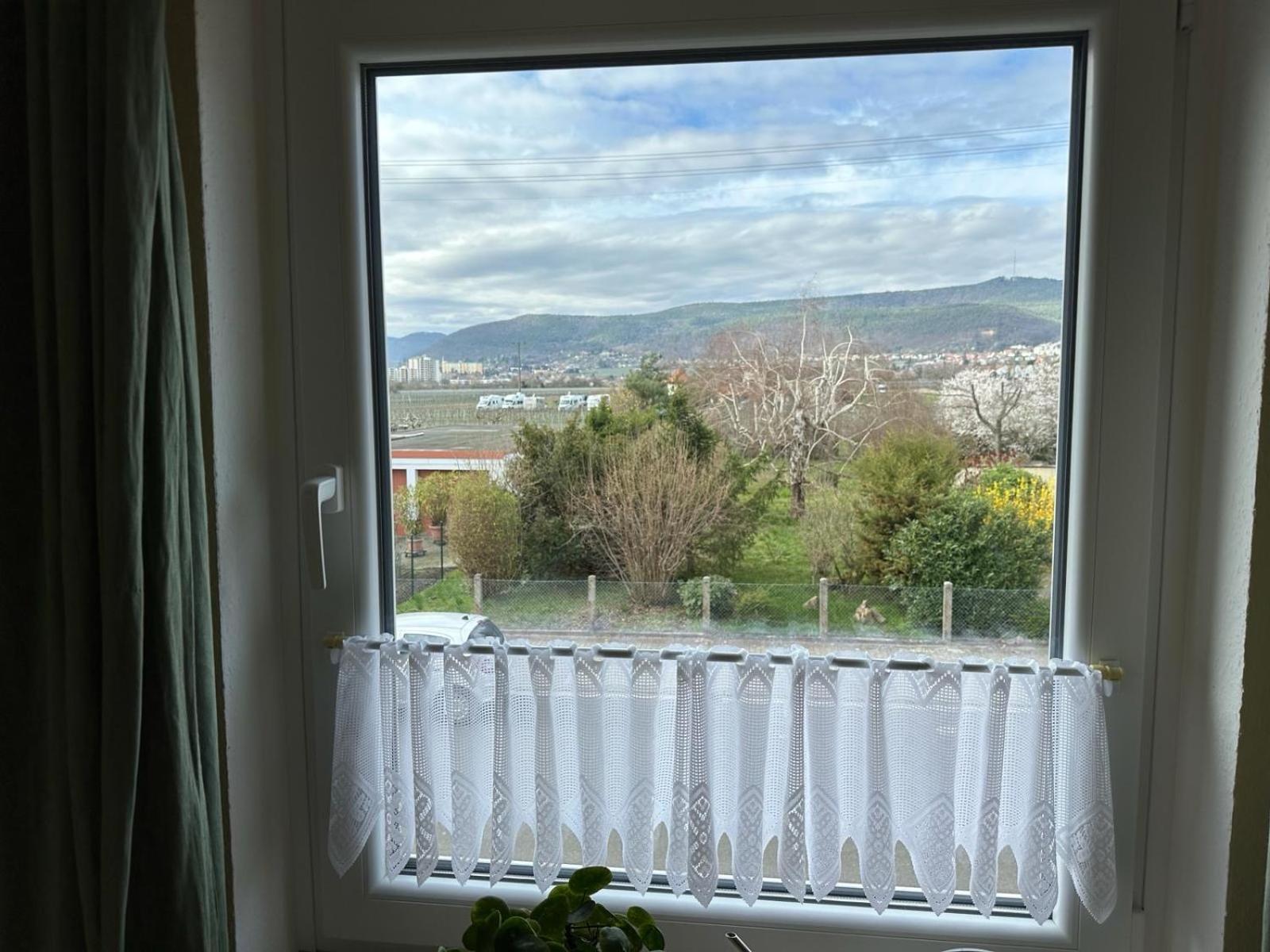 Terrassenwohnung Neustadt an der Weinstraße Zewnętrze zdjęcie